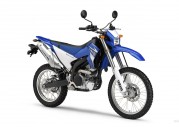 Yamaha WR250R